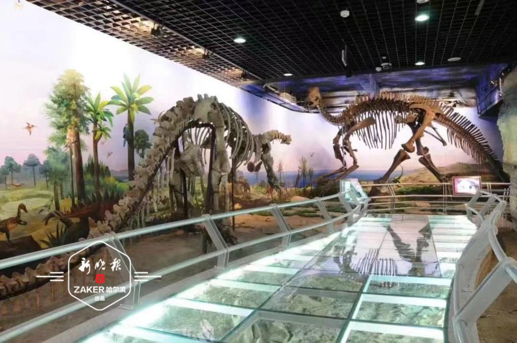 哈爾濱市有多少科普教育基地？